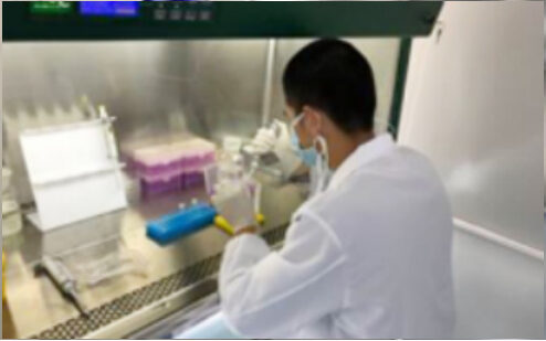 Technician pipetting inside a clean bench