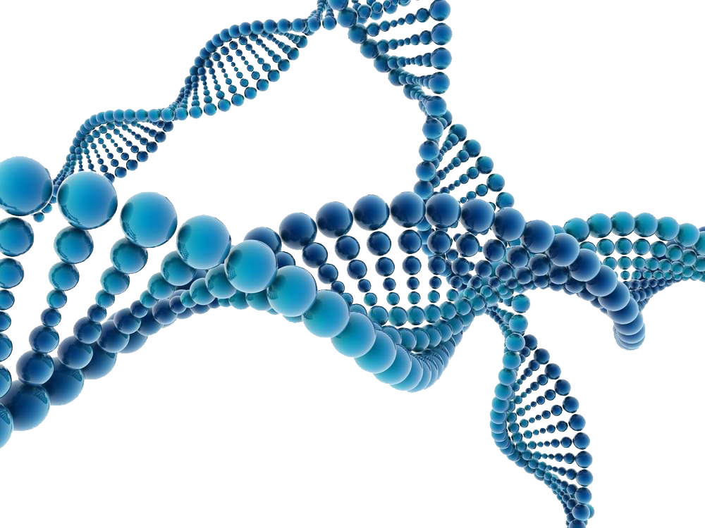 DNA double helix render