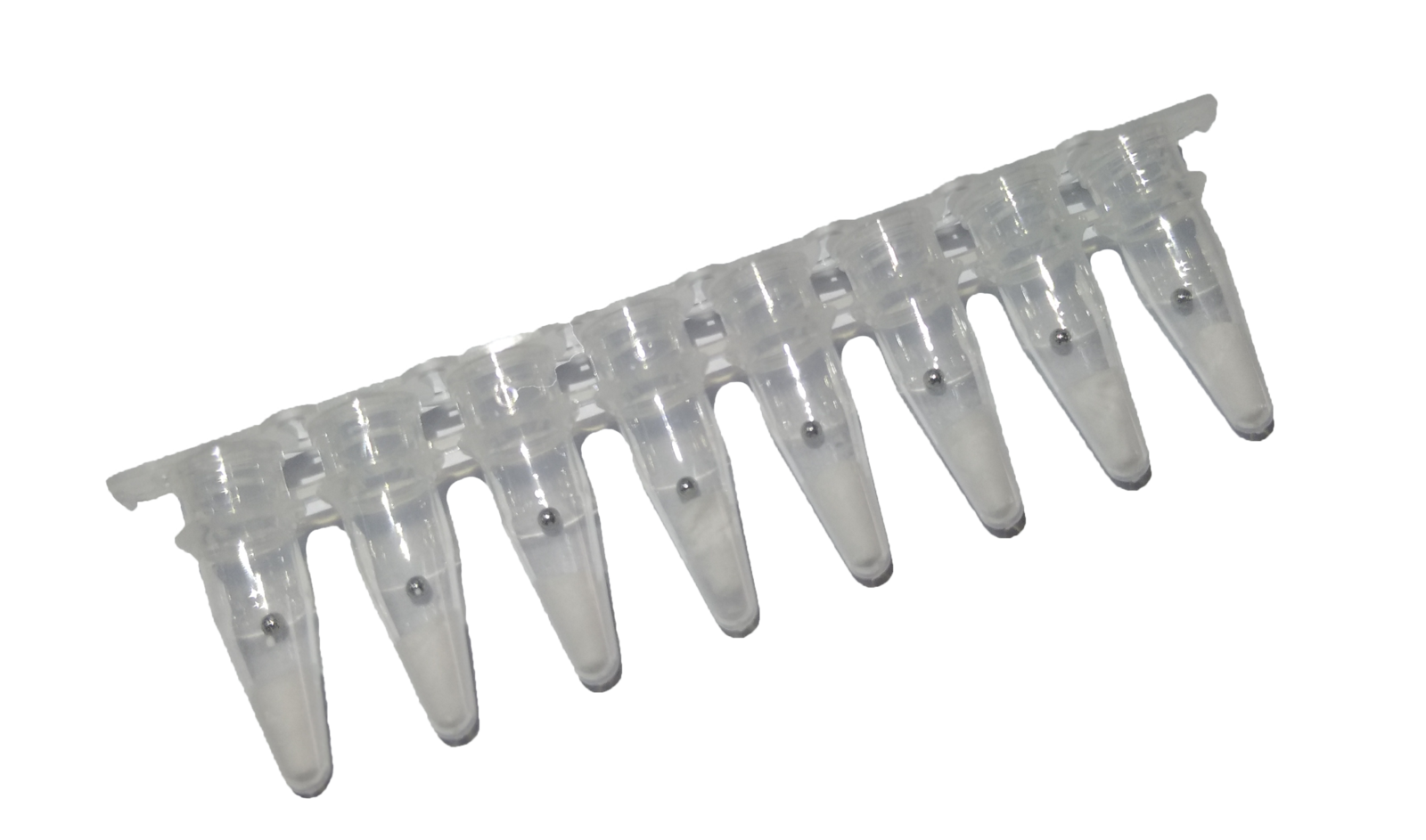 8-tube strip of lyophilised RAA reagents